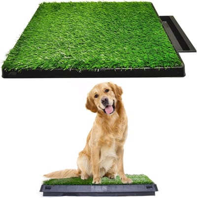 Honden Pee Tray - Honden Toilet - Zindelijkheidstraining Hond - Met Lade Systeem - 50 x 76 cm - Groen