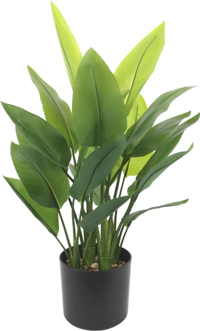 Strelitzia Kunstplant 70cm | Paradijsvogel kunstplant voor binnen | Kleine kunst Strelitzia