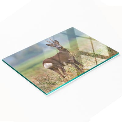 Multifunctionele decoratieve snijplank voor de keuken, gemaakt van gehard glas, met een afbeelding van een hert, 80x52 cm.