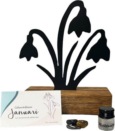Kraamcadeau - geboortebloem beeld- Januari- Sneeuwklokje - mét tandendoosje / potje / haarlokpotje en beschermende edelsteentjes - metaal in houten sokkel - uniek design