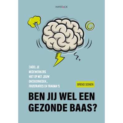 Ben Jij Wel Een Gezonde Baas? - Brend Seinen