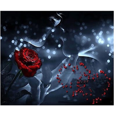 5D bricolage diamant broderie amant baiser Rose abstraite diamant peinture point de croix 20X30CM black