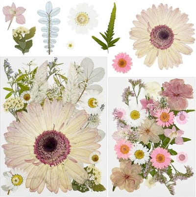 Gedroogde Bloemen Natuurlijke Geperste - Hars - Knutselen - Scrapbooking - Doe-het-zelf - Blauw - Knutselbloemen