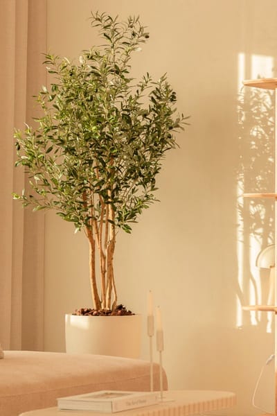 Kunst Olijfboom 180cm