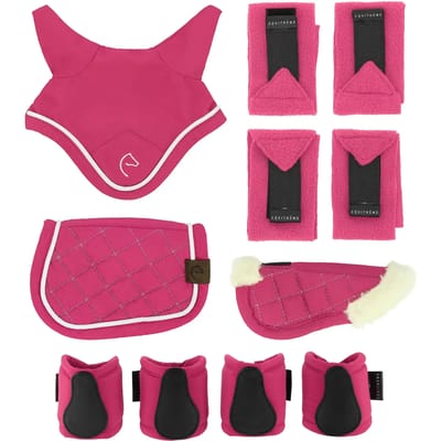 Ensemble van miini accessoires Equithème Pony Academy