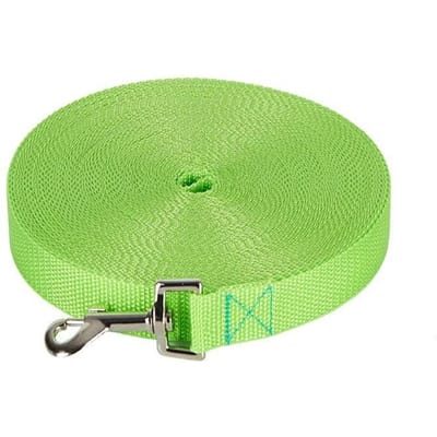 1,2M-30M Longues Laisse d'Éducation pour Chien en Nylon Laisse pour Promenade d'Animal de Compagnie Longue Lanière Corde de Traction Pour Petits Grands Chiens Article de Laisse (Light Green,30M) vert clair