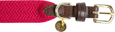 Kentucky Dogwear - Jacquard Hondenhalsband - Roze - Maat XS - 37cm - Hondenriem