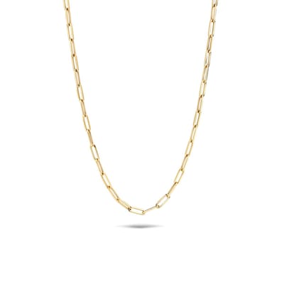 Blush Ketting Dames - Goud - 45 cm - Halsketting Dames Geen bewerking - Collier
