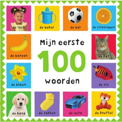 Mijn Eerste 100 Woorden - Mijn Eerste 100 - Roger Priddy