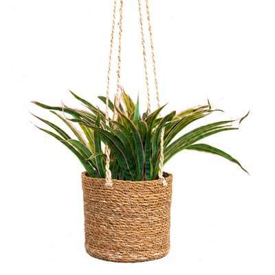 Kunstplant Siergras roze in hangmand naturel L100cm