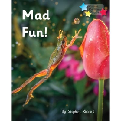 A Lot Of Fun! - Reading Stars Phonics - Stephen Rickard