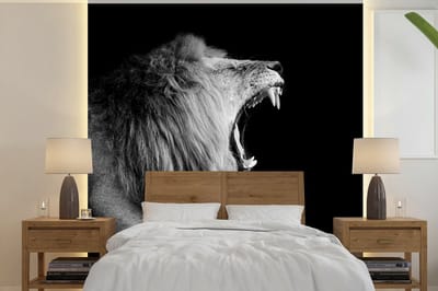 Behang - Fotobehang Leeuw - Wilde dieren - Gras - Zwart - Wit - Breedte 350 cm x hoogte 350 cm