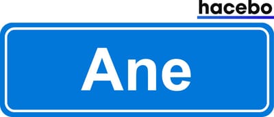 Hacebo - Plaatsnaam Sticker - 29x10 CM - Ane sticker - Verkeersborden sticker - grappige cadeaus - Ane