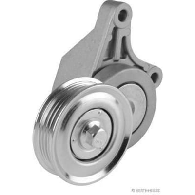Herth+Buss Elparts Riemspanner, Poly V-riem HERTH+BUSS JAKOPARTS J1144066