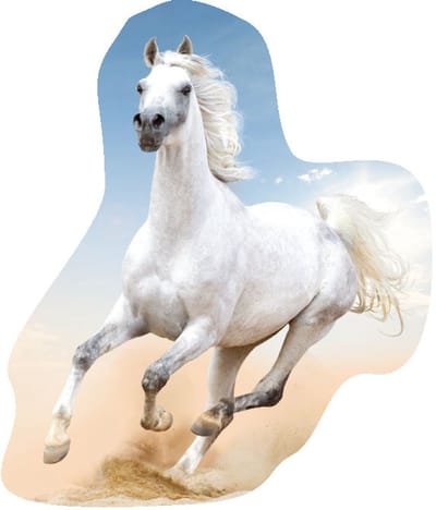 Paard kussen