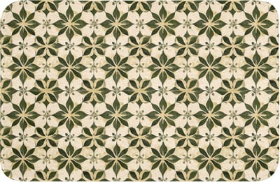 Badmat 60x40 cm - Antislip - Tegel - Dessin - Groen - Badmatten voor badkamer - Badkamermat - Douchemat - Badkamer mat