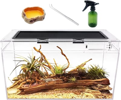 Growth Terrarium Complete set, 50 x 25 x 27 cm faunarium voor slakken, insecten, waterschildpadden, vogelspinnen, springspinnen, luipaard gekko, bebaarde draak, kikker, aquarium, emietkreeften