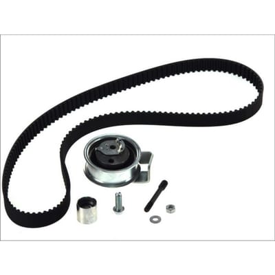 Distributieriemset SKF VKMA 01018