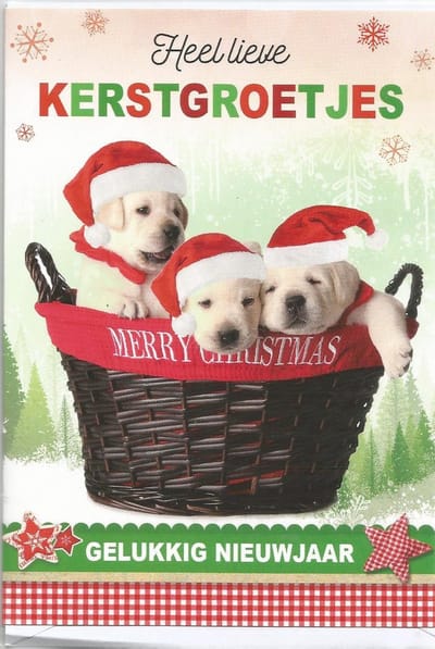 Kerstkaarten nu. 25  10 stuks