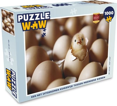Puzzel Een net uitgekomen kuikentje tussen meerdere eieren - Legpuzzel - Puzzel 1000 stukjes volwassenen