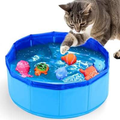 Daity 1 delige set - Opvouwbaar zwembad voor honden en katten - Draagbaar zwembad voor huisdieren —Speelgoed niet inbegrepen - Blauw (30x10cm)