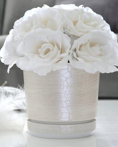 Safari Perla 12 cm pot met schotel - Unieke whitewash houtstructuur