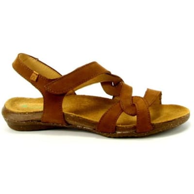 El Naturalista N5079