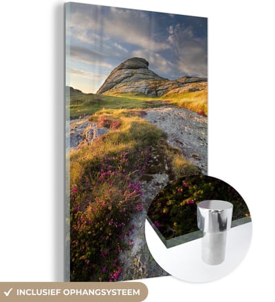 ® Glasschilderij 120x180 cm - Schilderij acrylglas - Kleurrijk struikgewas in het Engelse Nationaal park Dartmoor - Foto op glas - Muurdecoratie woonkamer - Wanddecoratie slaapkamer - Schilderijen