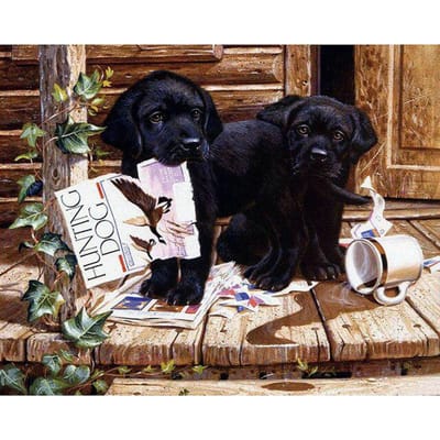 Diamond schilderij borduurpakketten 5d borduurwerk zwarte honden patroon volledige ronde strass 20X30CM black