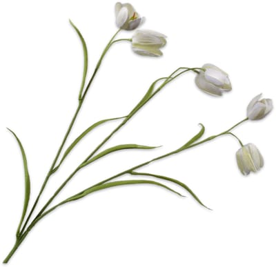 Silk-ka Kunstbloem-Zijden Bloem Fritillaria Tak Crème-Groen 64 cm Per 2 Stuks