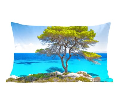 Sierkussens - Kussentjes Woonkamer - 50x30 cm - Boom - Zee - Tropisch - Zomer