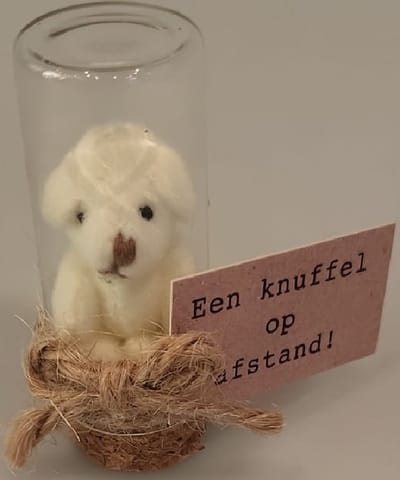 Een knuffel op afstand! Dit schattige beertje maakt deze boodschap nog specialer. Het mini knuffel beertje zit in een glazen stolpje circa 6 cm hoog op een kurk. Een speciaal geschenk wat het hele jaar door gegeven kan worden.