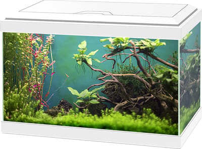 Ciano aquarium aqua 20 classis - 40x20x24,8cm - Wit - 20L