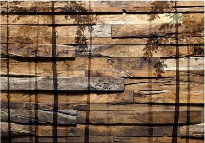 Fotobehangkoning - Behang - Vliesbehang - Fotobehang Bomen op Houten Planken - 150 x 105 cm