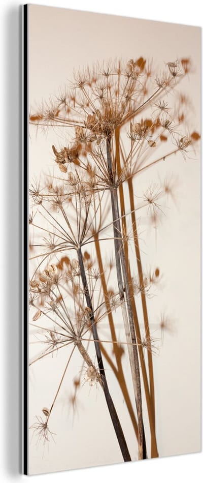 Aluminium schilderij 80x160 cm - Wanddecoratie metaal - Droogbloemen - Stilleven - Wit - Planten - Bloemen - Metalen muurdecoratie woonkamer - Decoratie industrieel - Foto op dibond - Industriële accessoires slaapkamer