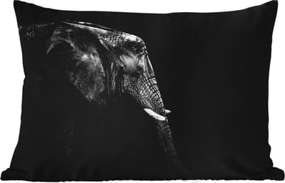 Buitenkussens - Tuin - Olifant - Zwart wit - Portret - Dieren - 50x30 cm