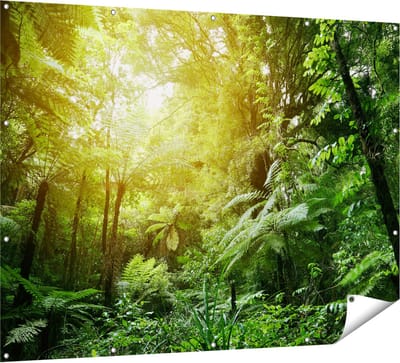 Gards Tuinposter Tropische Jungle met Zonneschijn - 160x120 cm - Tuindoek - Tuindecoratie - Wanddecoratie buiten - Tuinschilderij
