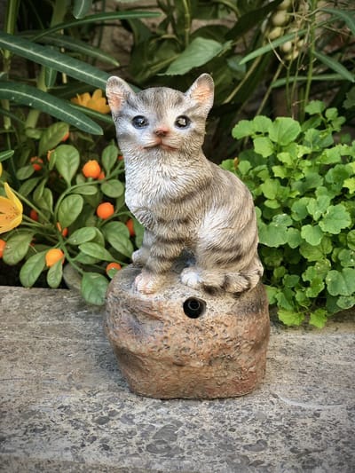 Welkom kitten grijs 12 cm hoog - levensecht - hond - dog - polyester - polyresin - polystone - hoogkwalitatieve kunststof - decoratiefiguur - interieur - accessoire - voor binnen - cadeau - geschenk - tuinfiguur - tuinbeeldje - tuindecoratie