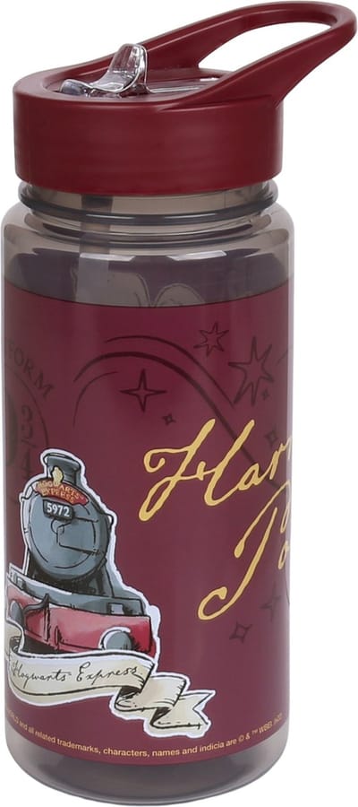 Harry Potter Hedwig Fles met mondstuk en handvat, waterfles 500ml