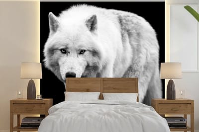 Behang - Fotobehang Wolf - Dier - Zwart - Wit - Breedte 350 cm x hoogte 350 cm