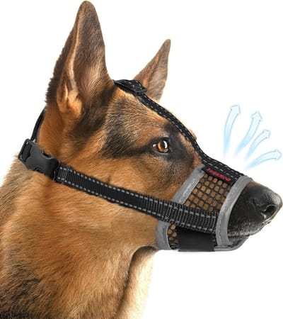 Hondenmuilkorf Ademend Gaas - Honden snuit - Voorkomt Bijten - Nieuw Luchtgaas - M (13.5-19cm) - Zwart