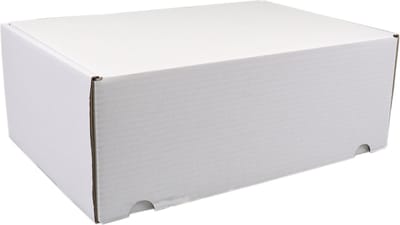 SendProof® Postpakketdoos | golfkarton | 315x215x120mm | gestanst | wit | 25 stuks
