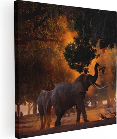 Artaza Canvas Schilderij Olifanten - 30x30 cm - Klein - Wanddecoratie Dieren - Muurdecoratie Woonkamer - Kamer Accessoires