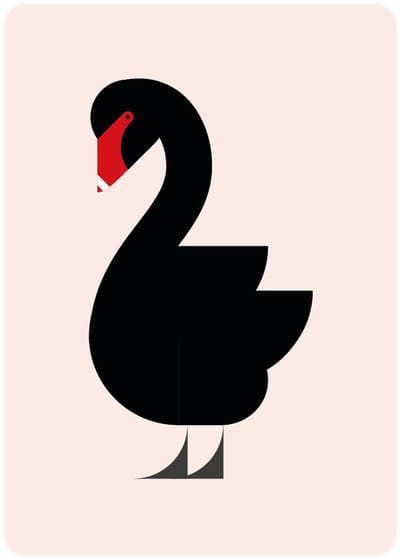 Eendje - 4x leuke wenskaarten - kaarten om te versturen - kaartenset - kaart met Zwarte Zwaan - vier kaarten met vogels