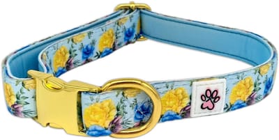 Halsband Hond - Zachte Honden Halsband - Blauw - Kleurrijke Bloemen - Rozen - Blue-tiful Blossoms - Paw My God! - Maat M