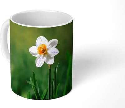 Mok - Koffiemok - Narcis - Bloem - Wit - Grassprieten - Mokken - 350 ML - Beker - Koffiemokken - Theemok