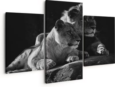 Artaza Canvas Schilderij Drieluik Leeuw en Leeuwin zitten naast elkaar - Zwart Wit - 150x120 - Groot - Foto Op Canvas - Canvas Print