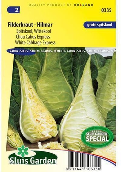 Sluis Garden - Spitskool Filderkraut  Hilmar