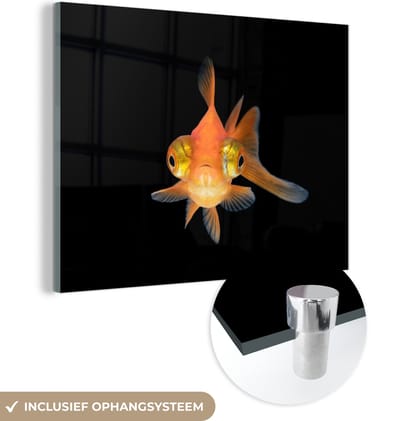 MuchoWow® Glasschilderij 120x90 cm - Schilderij acrylglas - Goudvis - Zeedieren - Ogen - Foto op glas - Schilderijen