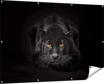 Gards Tuinposter Zwarte Panter met Oranje Ogen - 150x100 cm - Tuindoek - Tuindecoratie - Wanddecoratie buiten - Tuinschilderij